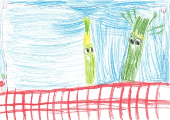 1892-17055 — kopia