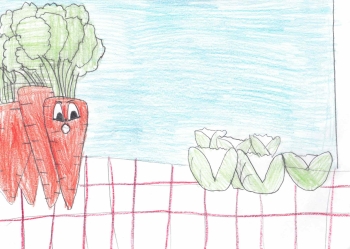 1892-17062 — kopia